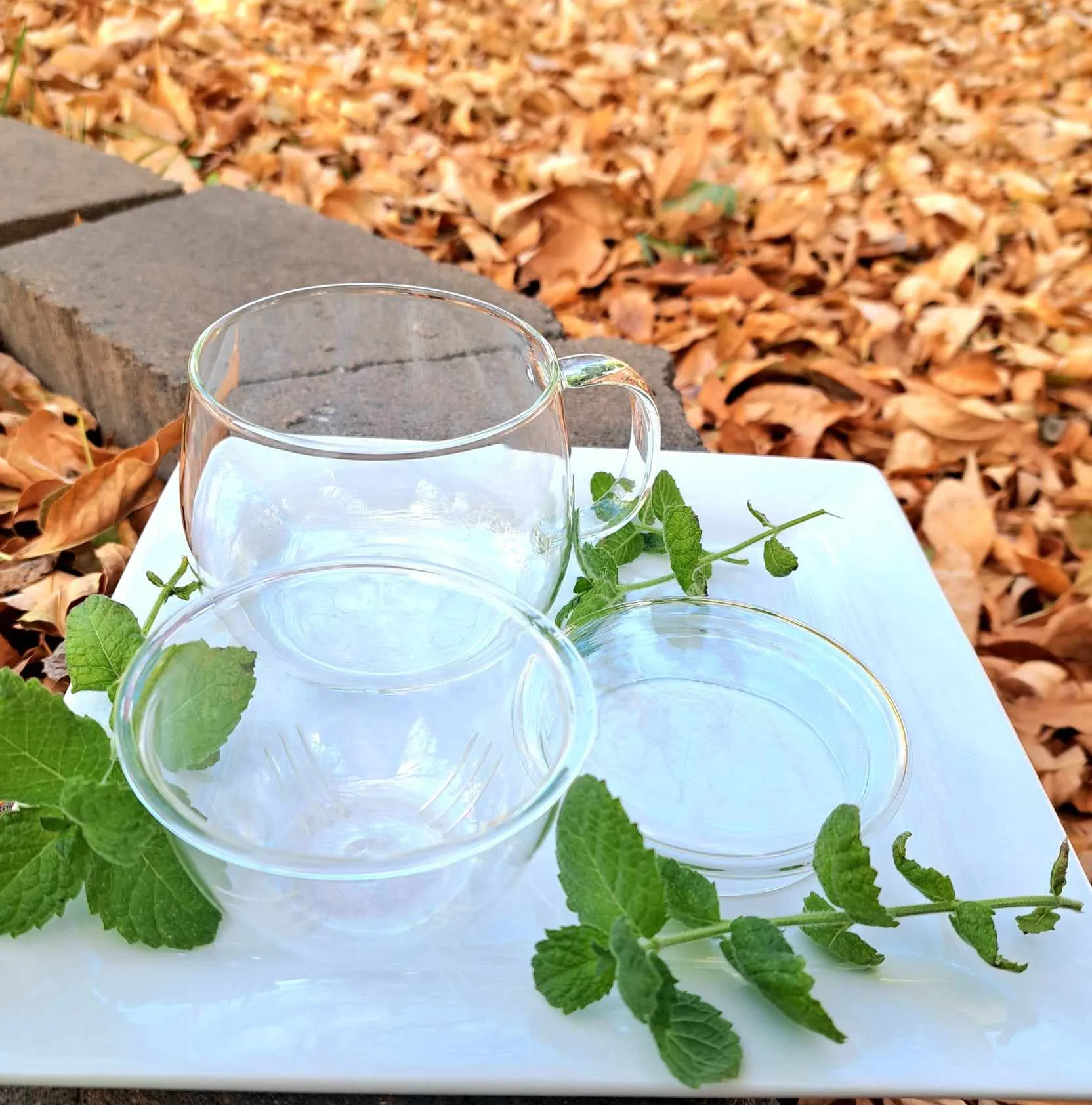 10 OZ Borosilicate Glass Tea Mug