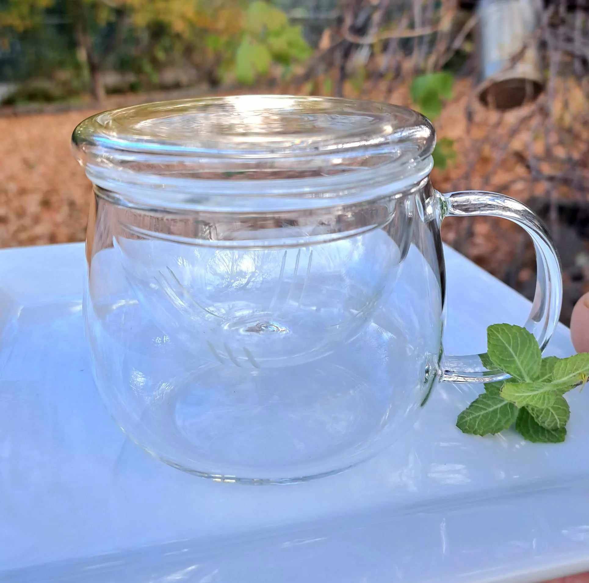 10 OZ Borosilicate Glass Tea Mug