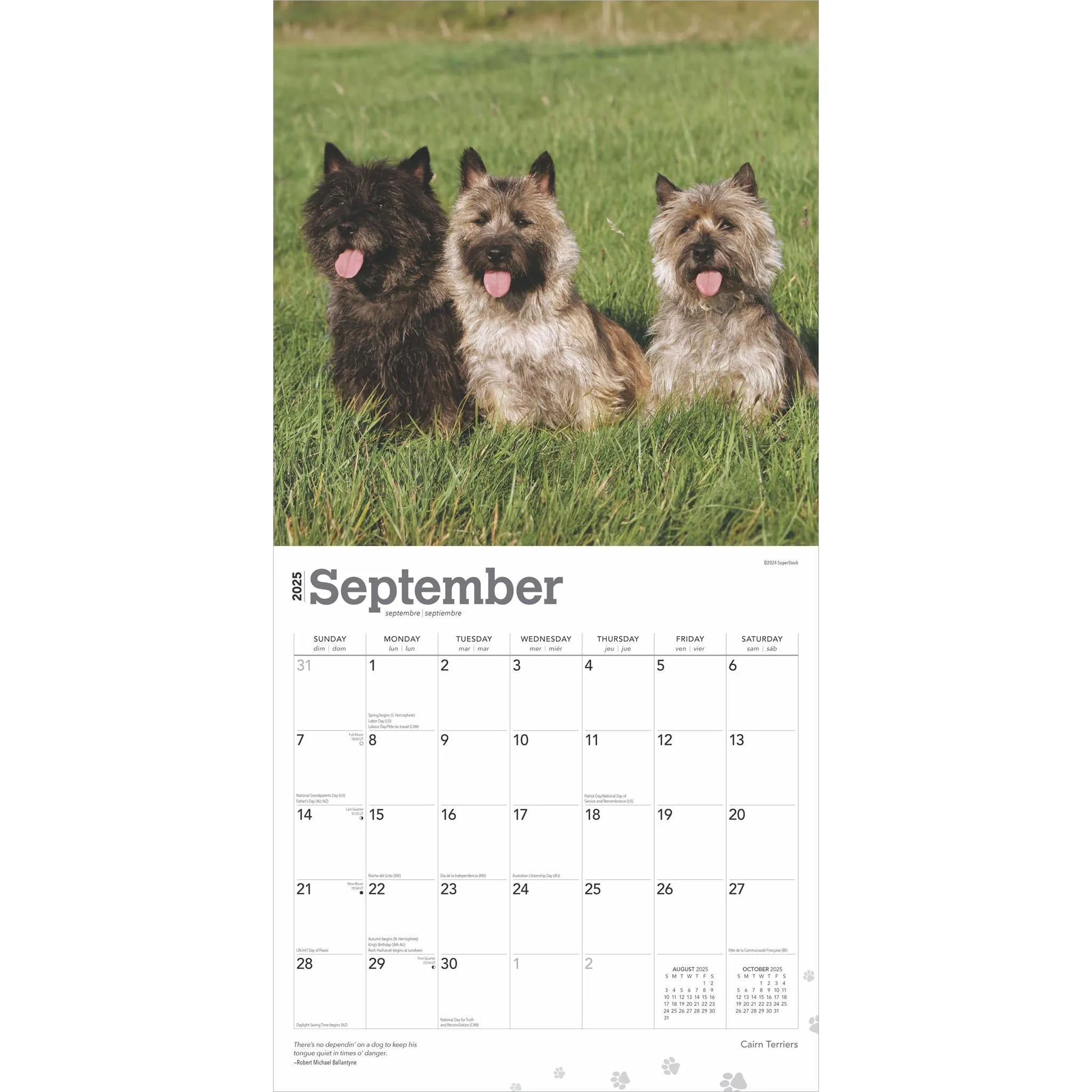 Cairn Terriers Wall 2025 Calendar