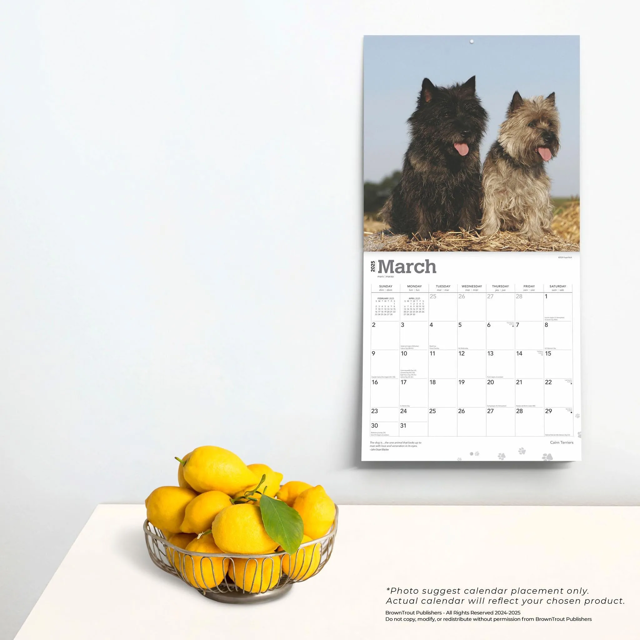 Cairn Terriers Wall 2025 Calendar