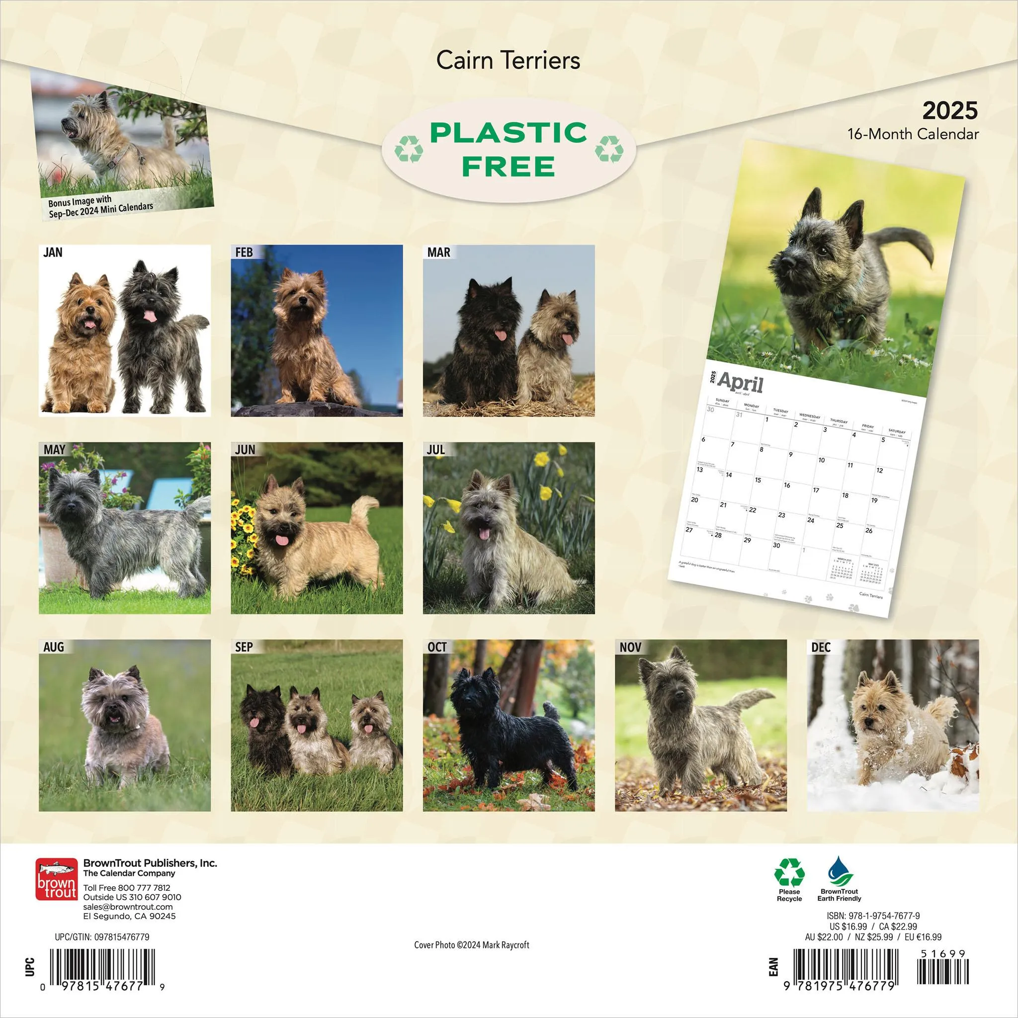 Cairn Terriers Wall 2025 Calendar