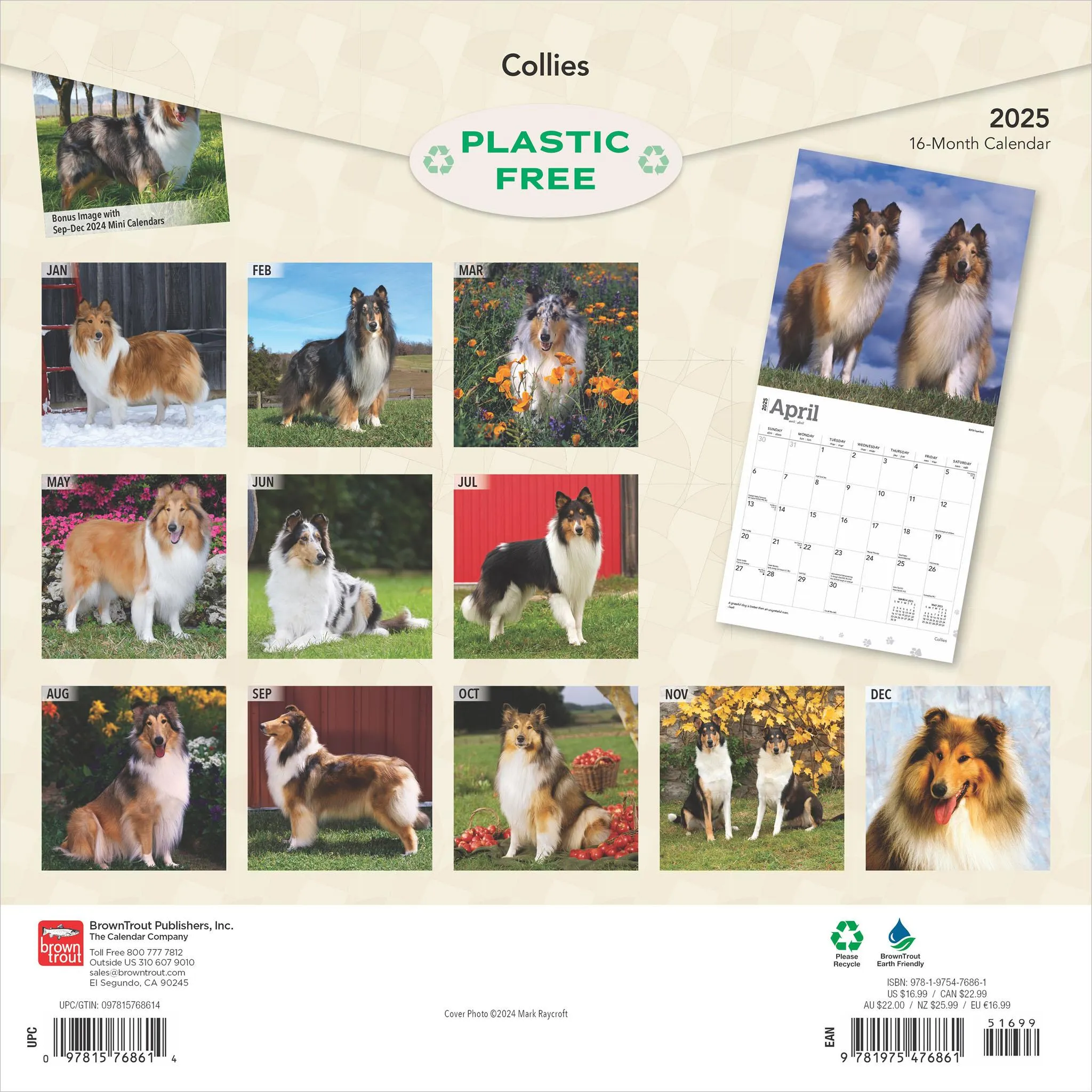 Collies Wall 2025 Calendar