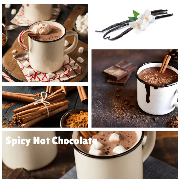 Cup of Cocoa Spicy Hot Chocolate Soy Candle