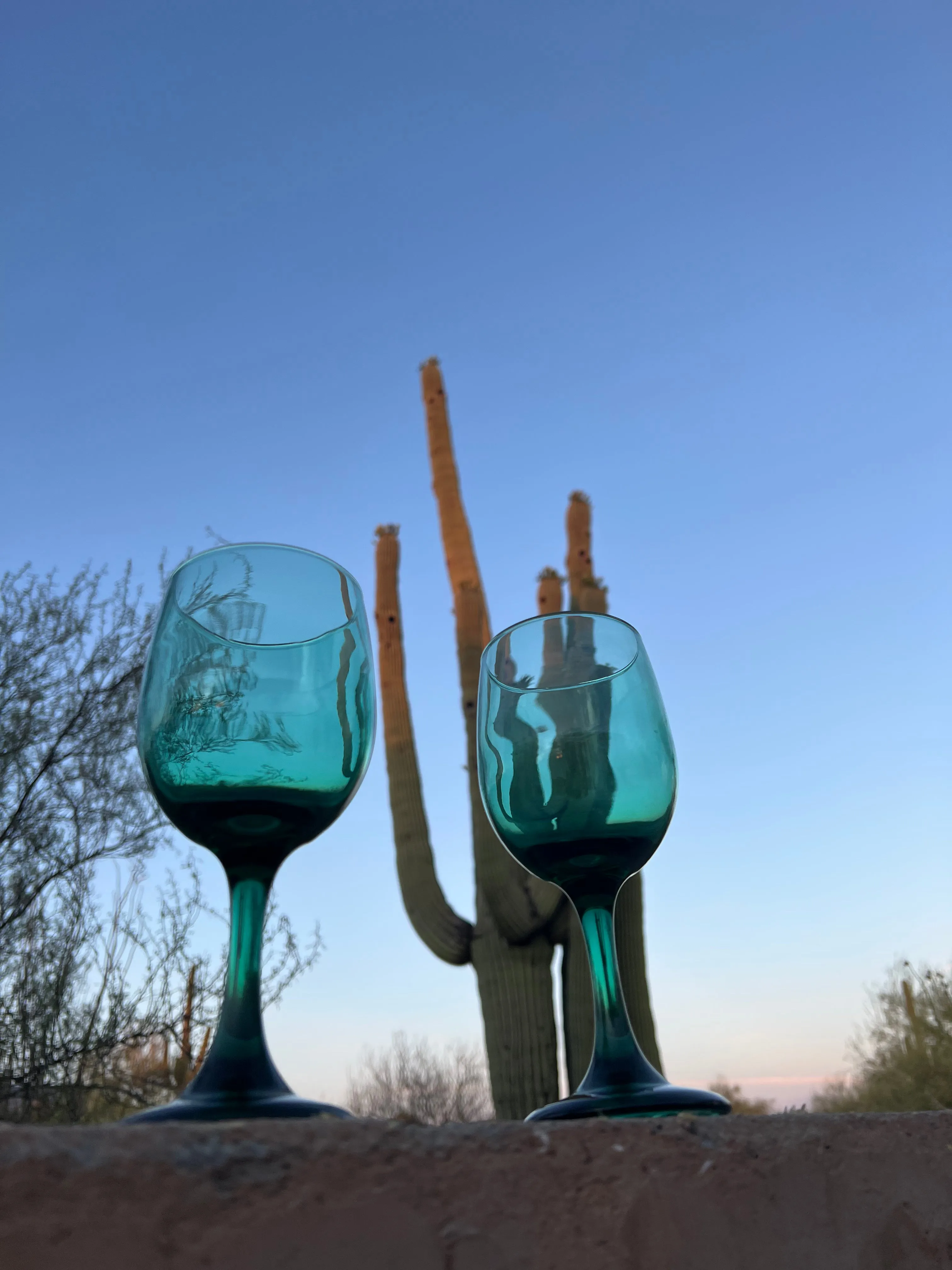 Lush Desert Wine Glasses